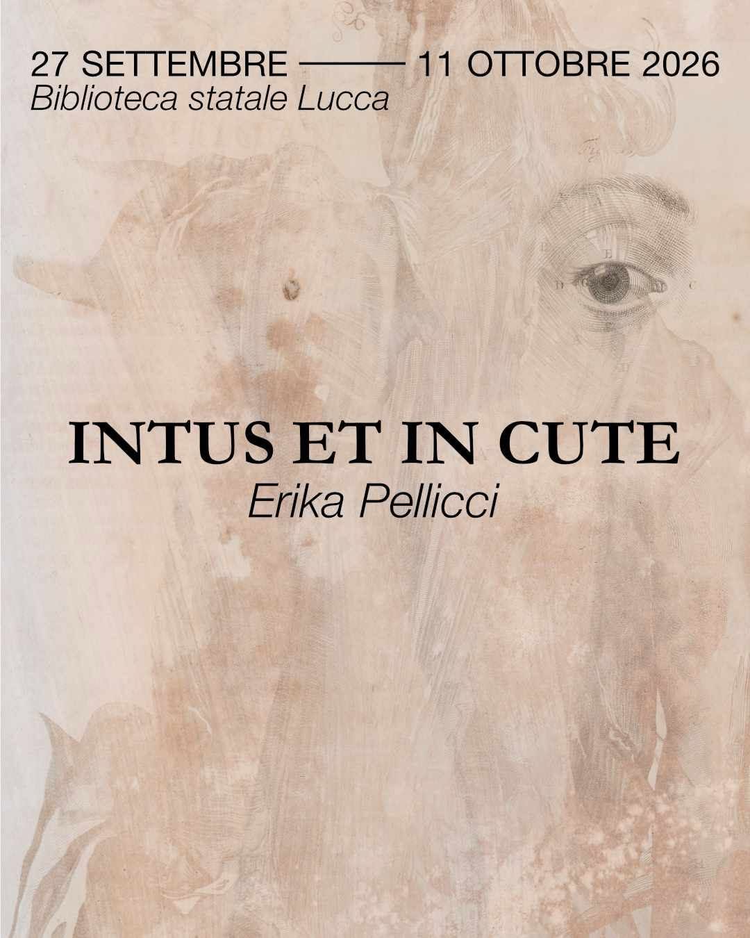 Intus et in cute. Mostra di Erika Pellicci | Giornate Europee del Patrimonio &ndash; GIUNGLA Fest
